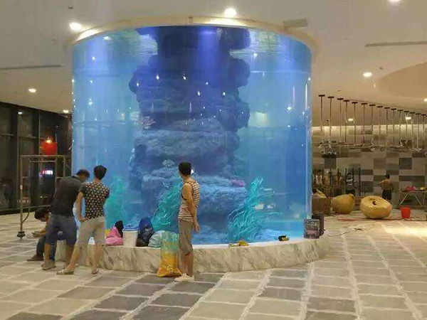 水族工程_大型圆柱形鱼缸